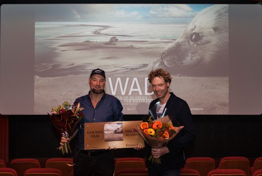 WAD, gouden status