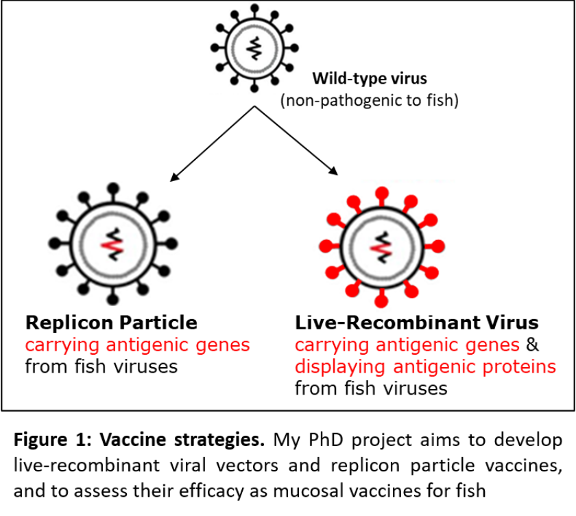 Picture1.png Picture1.png