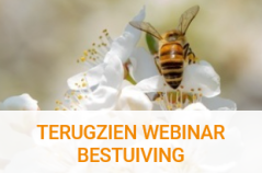 webinar bestuiving.png