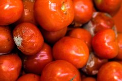 Onverpakte tomaten Onverpakte tomaten
