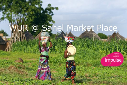 WUR @ Sahel Market Place