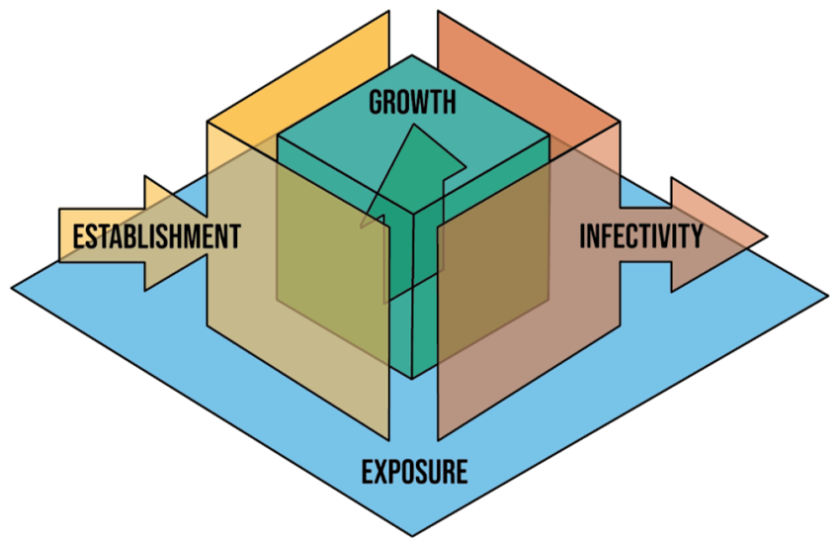 Figure. Plant and Animal Diversity and Disease across Levels in Ecology (PADDLE) Model. In this model, the Host Quality, the contribution of a host species to the fitness of a parasite species, is key. Exposure: probability of contact between a host and infectious parasite propagules. Establishment: probability that the parasite infects a host, given contact has occurred. Growth: parasite growth and persistence in an infected host. Infectivity: release of infectious propagules from an infected host that are accessible to susceptible hosts. By Mommer and PADDLE team. Figure. Plant and Animal Diversity and Disease across Levels in Ecology (PADDLE) Model. In this model, the Host Quality, the contribution of a host species to the fitness of a parasite species, is key. Exposure: probability of contact between a host and infectious parasite propagules. Establishment: probability that the parasite infects a host, given contact has occurred. Growth: parasite growth and persistence in an infected host. Infectivity: release of infectious propagules from an infected host that are accessible to susceptible hosts. By Mommer and PADDLE team.