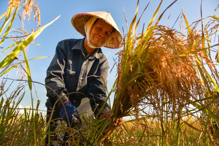 Klimaat verhaal 3: Deltaplan Vietnam