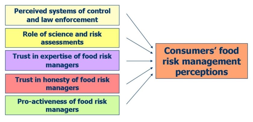 key factors influencing consumer perceptions