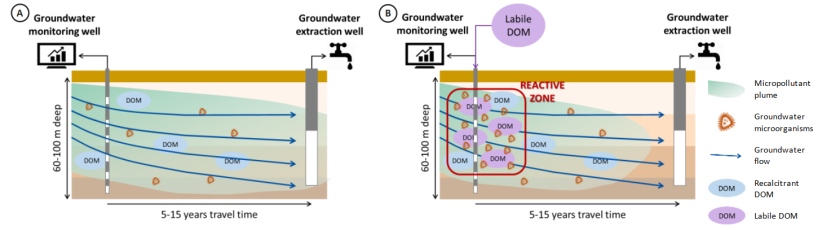 Micropollutant attenuation in groundwater: A – Natural attenuation; B – DOM amended attenuation