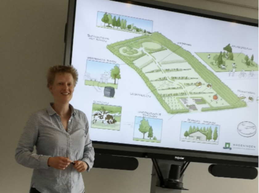 Heleen van Kernebeek (WUR) geeft toelichting over ontwerp van een agorforestry ontwerp voor het melkveebedrijf 