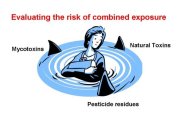 risk of combined exposure 