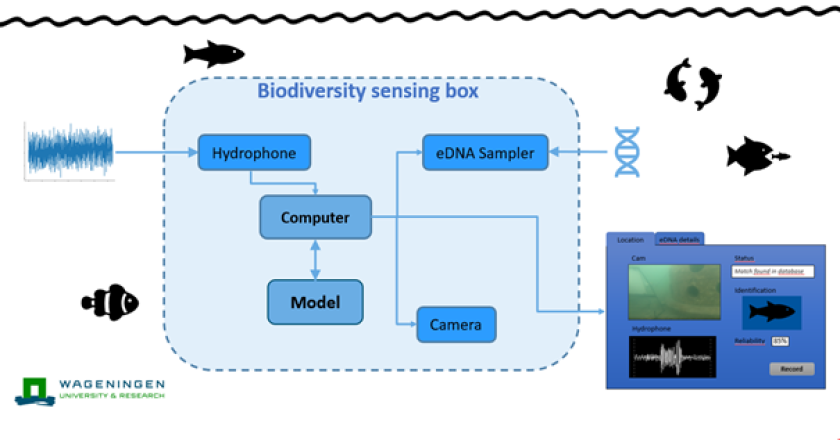 Figure 2: Deployment and functions of the Biodiversity Sensing Box. Figure 2: Deployment and functions of the Biodiversity Sensing Box.