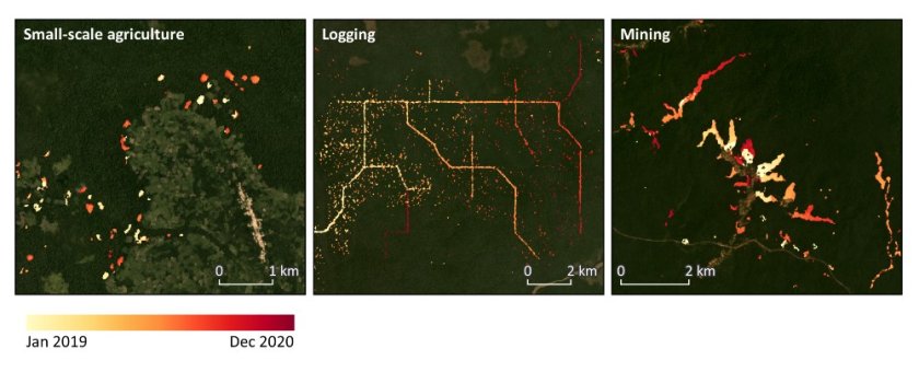 Different types of forest disturbance in the Congo Basin detected in high spatiotemporal detail with Sentinel-1 radar data. Different types of forest disturbance in the Congo Basin detected in high spatiotemporal detail with Sentinel-1 radar data.