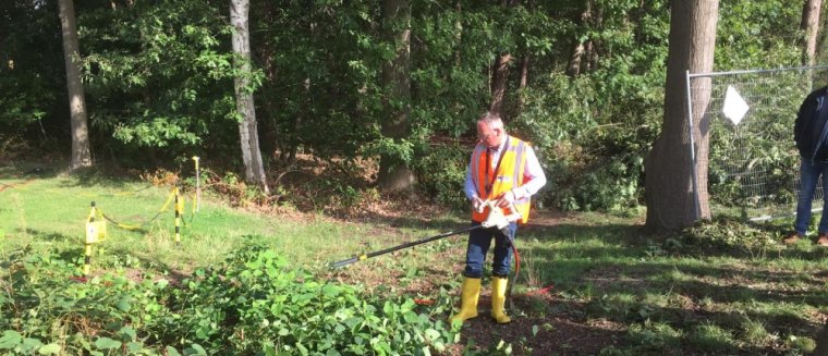 bestrijding duizendknoop met stroom bestrijding duizendknoop met stroom