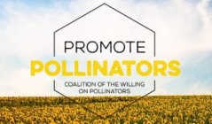 promote_pollinators3.jpg