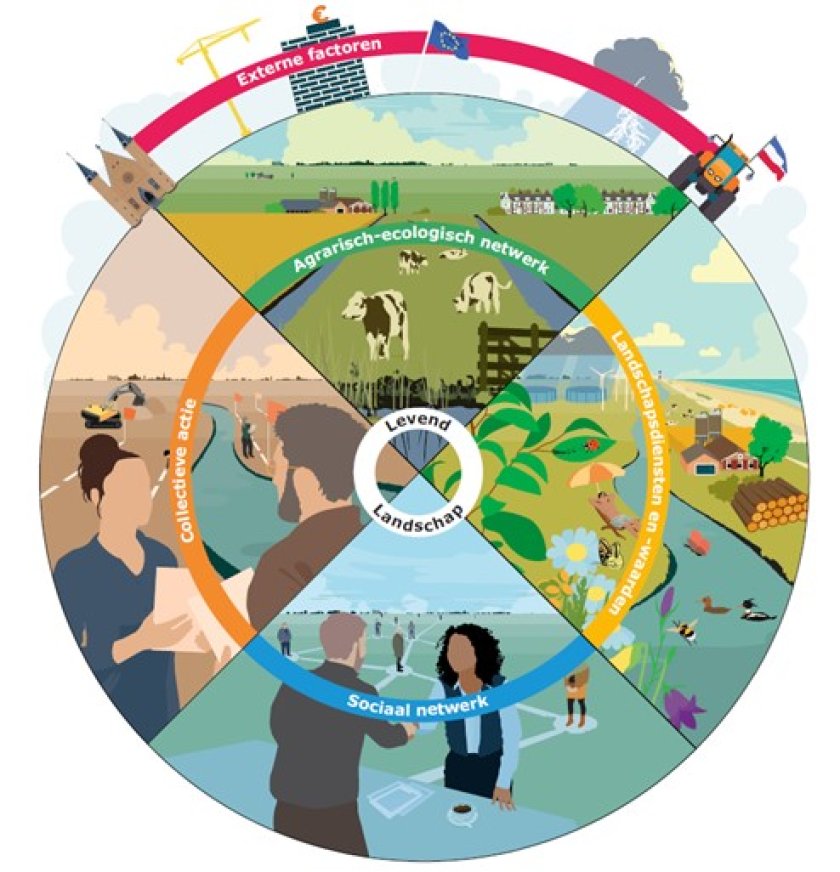 Figuur 1: de verschillende onderdelen die samen Levend Landschap vormen Figuur 1: de verschillende onderdelen die samen Levend Landschap vormen