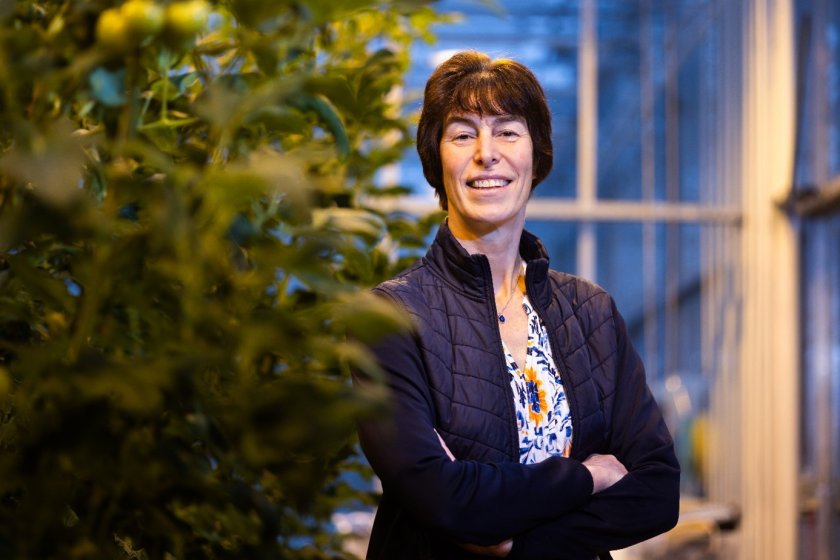 Anja Dieleman in a greenhouse at Wageningen University & Research.