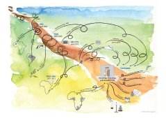 Birgit's Academic Path