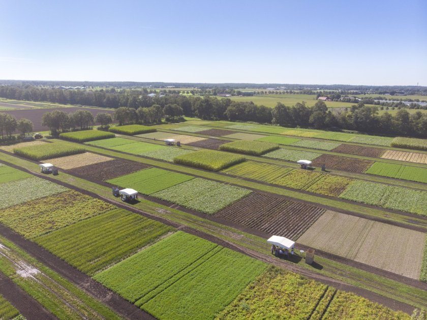 Luchtfoto Vredepeel