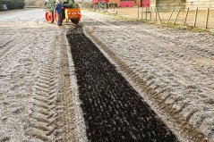 The sandy soil is enriched with biochar, which is mixed with moist compost to prevent dust.  Photo: WUR