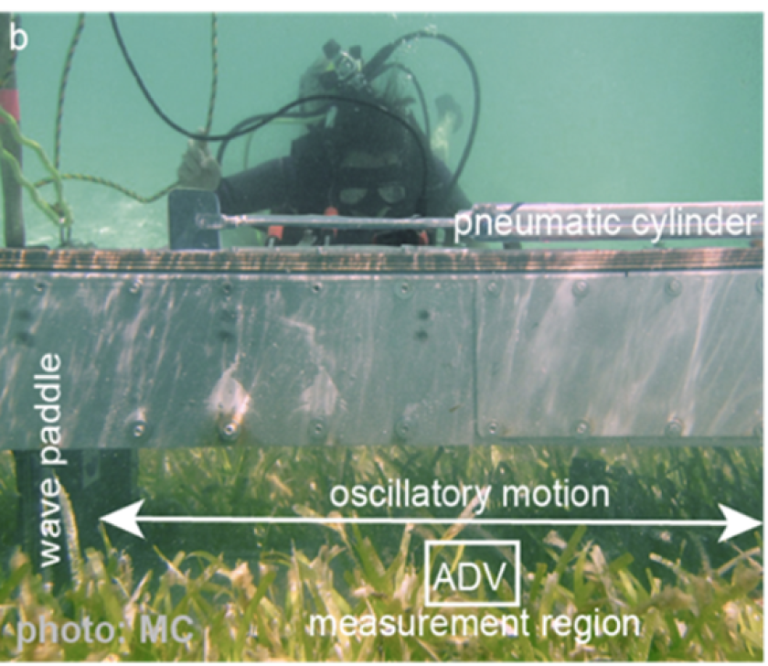 Figure 3 b: Innovative underwater field flumes, developed by co-authors from the Royal Netherlands Institute of Sea Research (James et al. 2020), were used to measure sediment stability, one of the ecosystem functions that were measured.