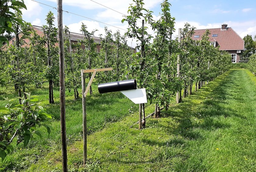 Photo trap: This experimental trap was developed by researchers in New Zealand. It consists of a large tube that turns with the windand features a trap and bait specially tailored to the brown marmorated stink bug.