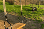 Holders for swings
