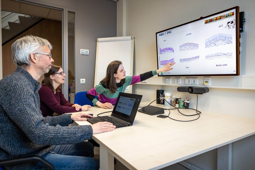Researchers Rik de Swart - Nora Gerhards - Manouk Vrieling Researchers Rik de Swart - Nora Gerhards - Manouk Vrieling
