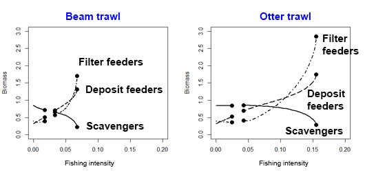 Biomass of each functional group at increasing fishing intensities: beam trawl and otter trawl. Biomass of each functional group at increasing fishing intensities: beam trawl and otter trawl.