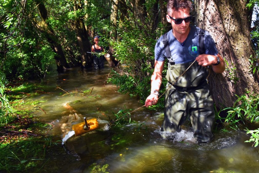 Twan Stoffers, together with his student, samples the larval fish community with a hoop net (Tom Buijse) Twan Stoffers, together with his student, samples the larval fish community with a hoop net (Tom Buijse)