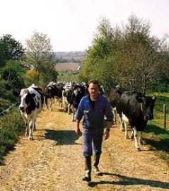 ace93159e6.jpg ace93159e6.jpg