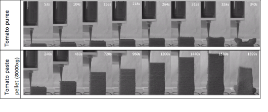 Design and sensory perception of multi-scale food structures fabricated by 3D printer