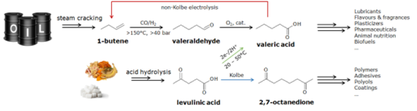 Fig. 1 – Overall concept of ELEVATE, in which an optimized process for the electrochemical conversion of levulinic acid, via Kolbe electrolysis, will be developed for the production of bio-based building blocks.