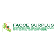 FACCE SURPLUS logo.png