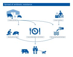 841210760_CVI_infographic_antibiotica_UK_RGB_3.jpg