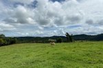Active pasture