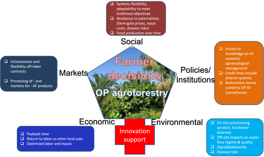 Factors underlying scaling of Oil Palm Agroforestry in the Brazilian Amazon 