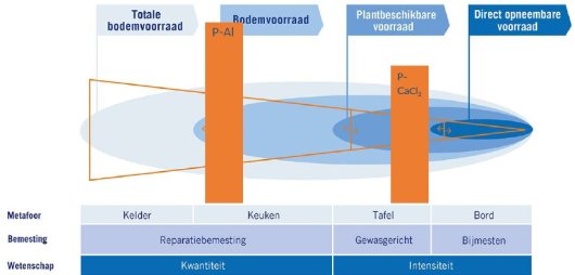 Fosfaat bodem.jpg Fosfaat bodem.jpg