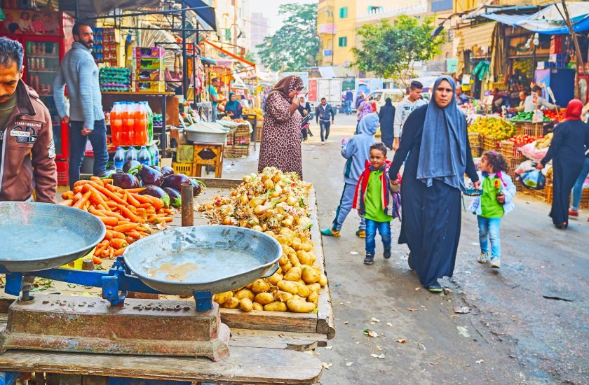 Feeding cities Feeding cities