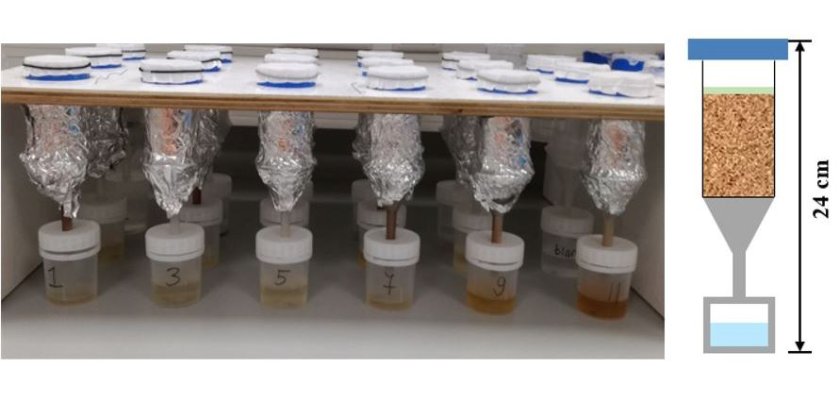 Figure 2. A. Picture showing the experimental set-up