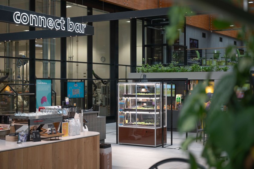 Vertical farm by Farmvent.jpg Vertical farm by Farmvent.jpg