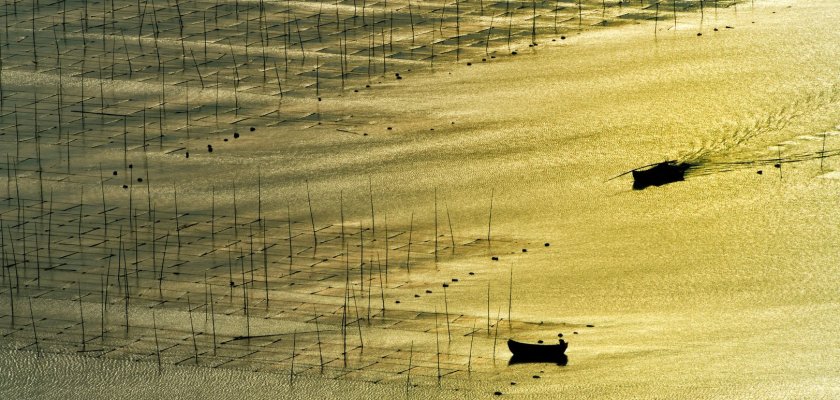 Seaweed farm Seaweed farm
