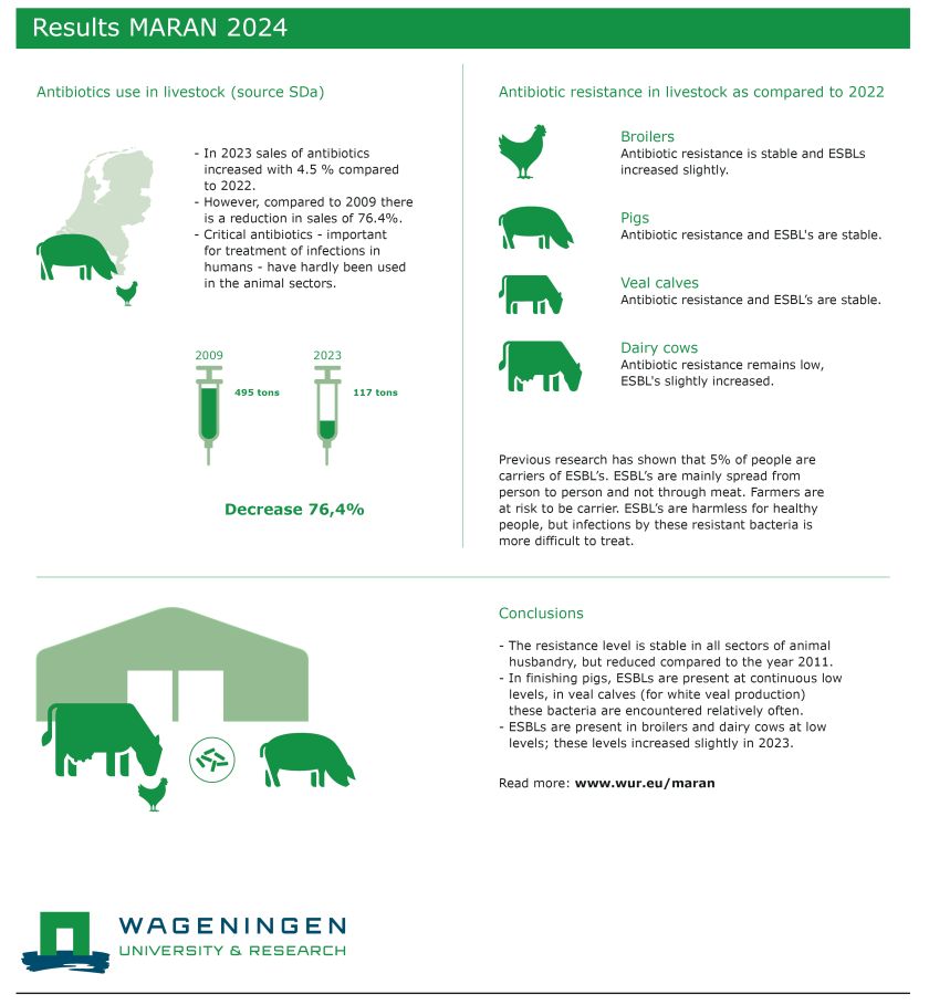 Infographic MARAN 