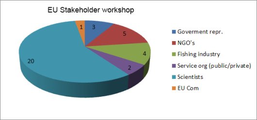 EU stakholder workshop.jpg