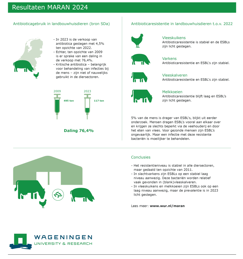 Infographic MARAN 