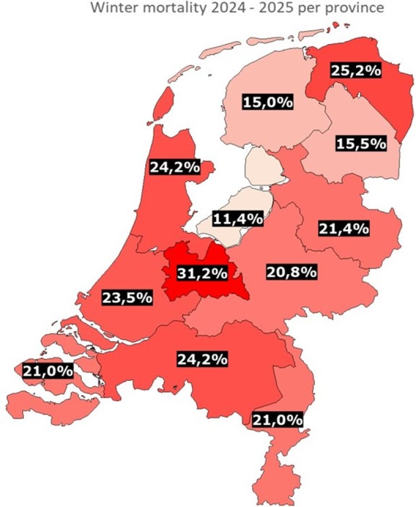 Winter mortality by province. Flevoland had the lowest average winter losses (11.4%), while Utrecht had the highest (31.2%) (source: WUR) Winter mortality by province. Flevoland had the lowest average winter losses (11.4%), while Utrecht had the highest (31.2%) (source: WUR)