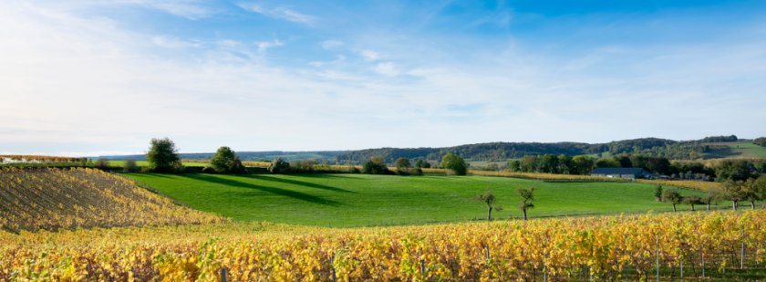 limburg_waterberging_landschap_shutterstock_1565715652.jpg limburg_waterberging_landschap_shutterstock_1565715652.jpg